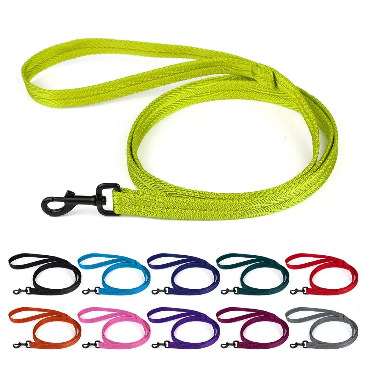 Nylon Flat Dog Leash