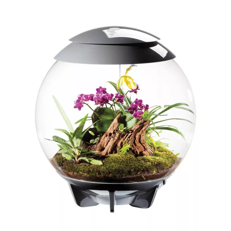 Oase Bio Orb Air 60 Grey