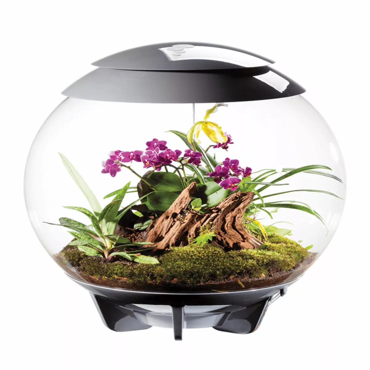 Oase Bio Orb Air 60