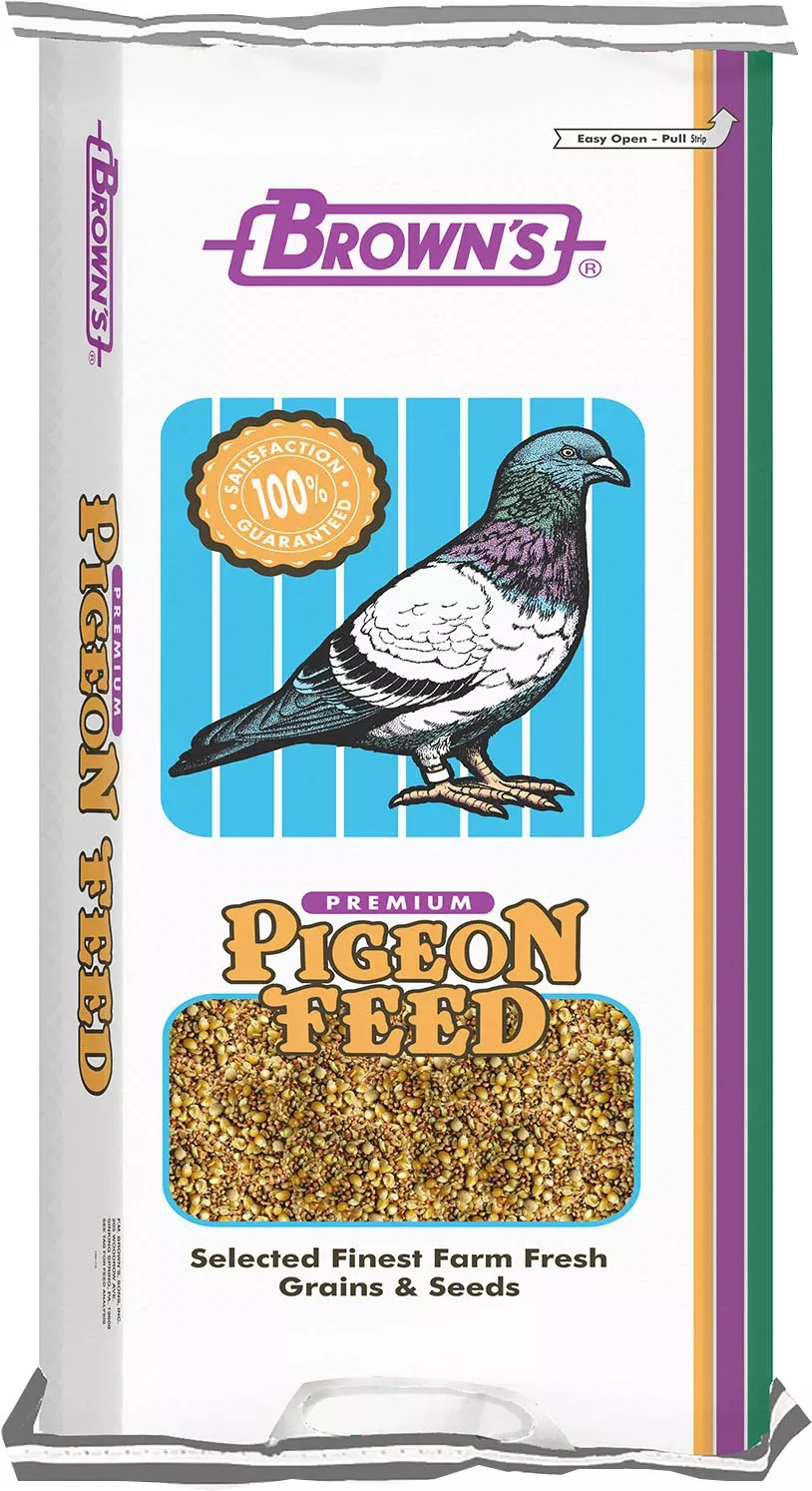Park Popcorn Pigeon Food
