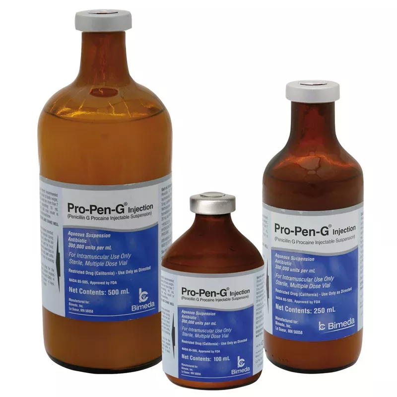 Penicillin G for Horses