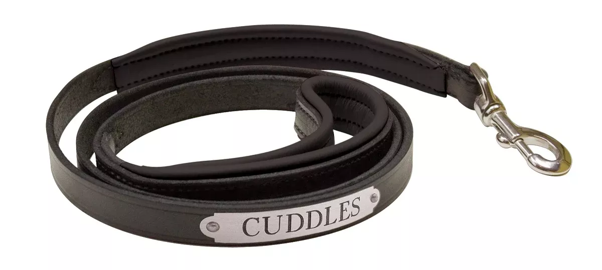 Perri's Personalized Padded Leather Dog Leash