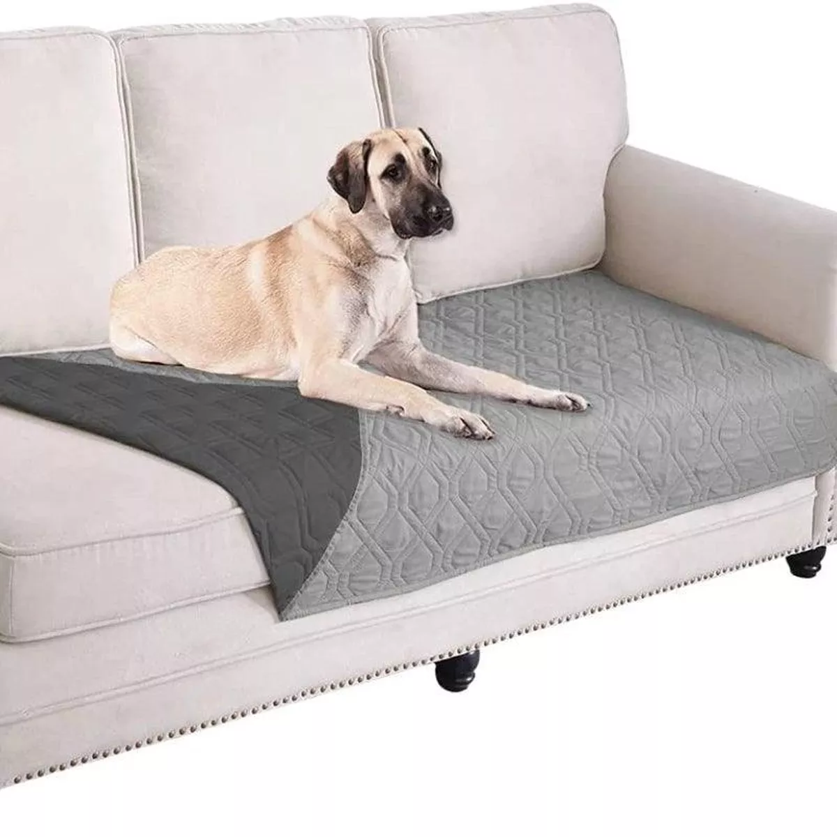 Pet Non Slip Waterproof Sofa/Bed Cover Protection