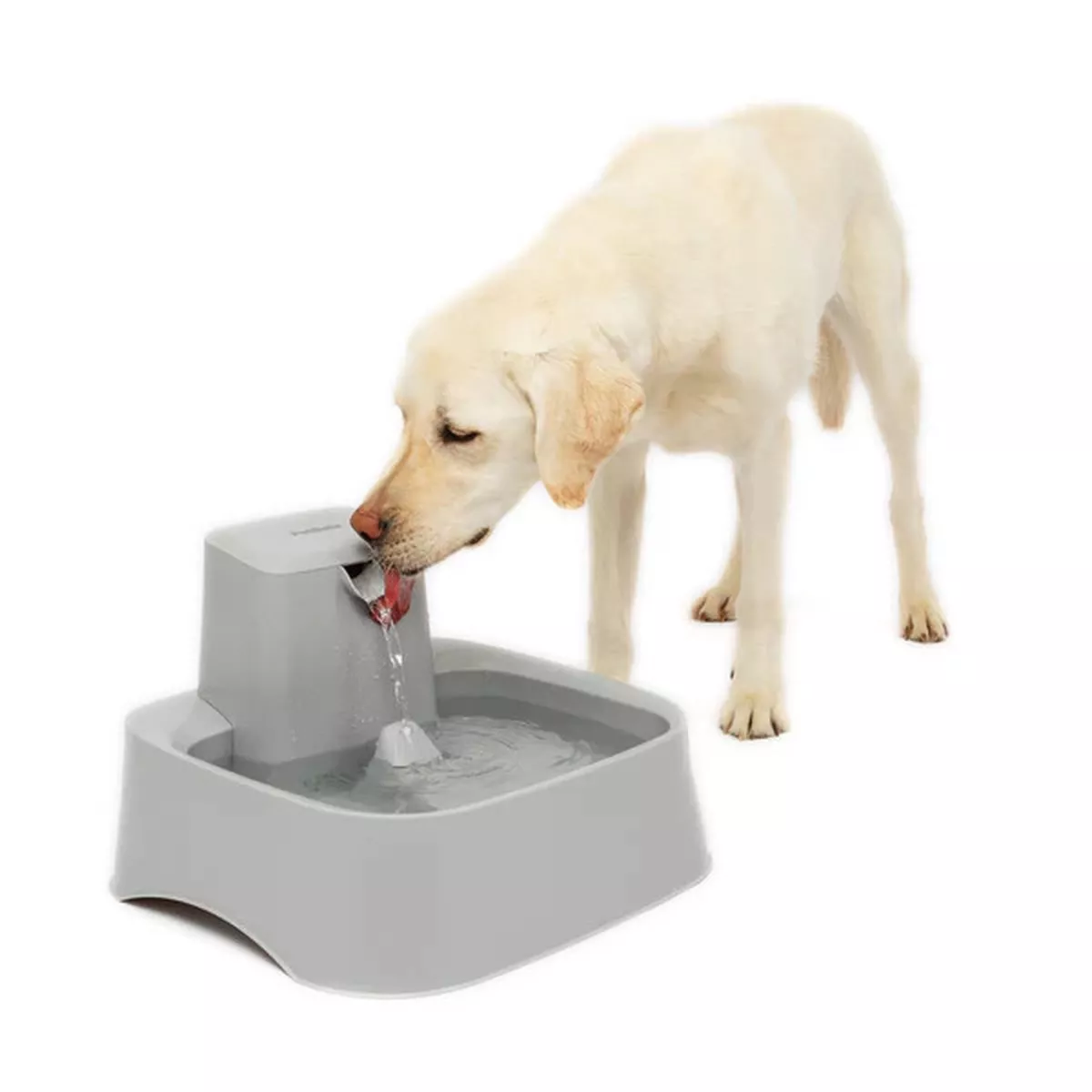 Petsafe Drinkwell Free-Fall Pet Fountain