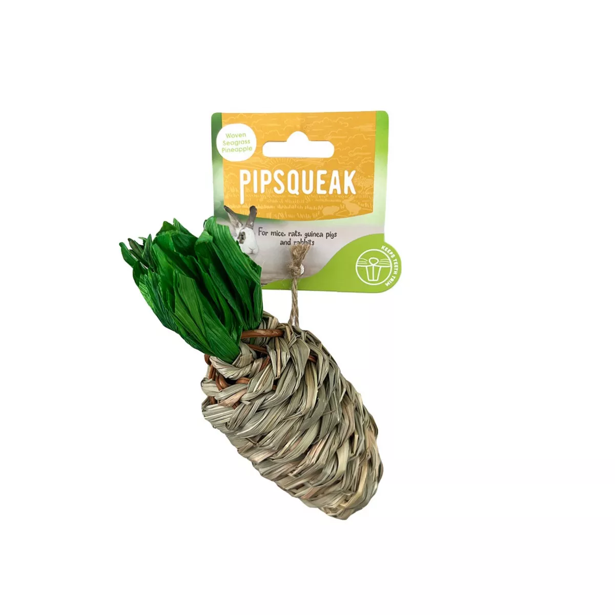 Pipsqueak Chew Seagrass Carrot