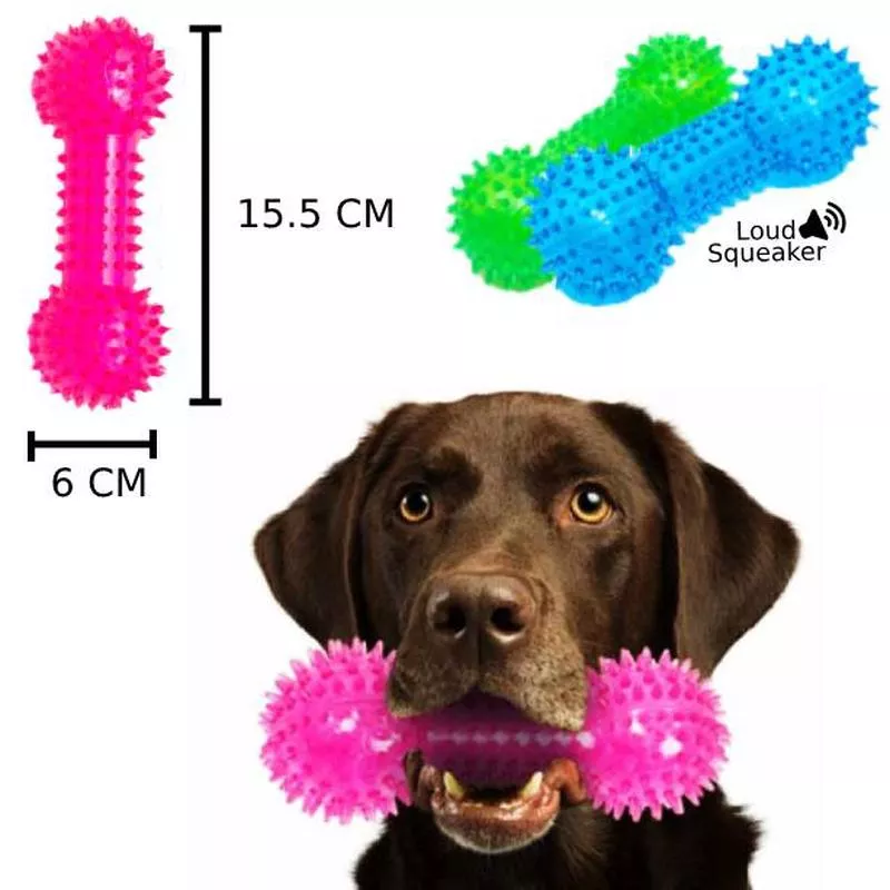 PL – Spiky Squeaky Dumbbell
