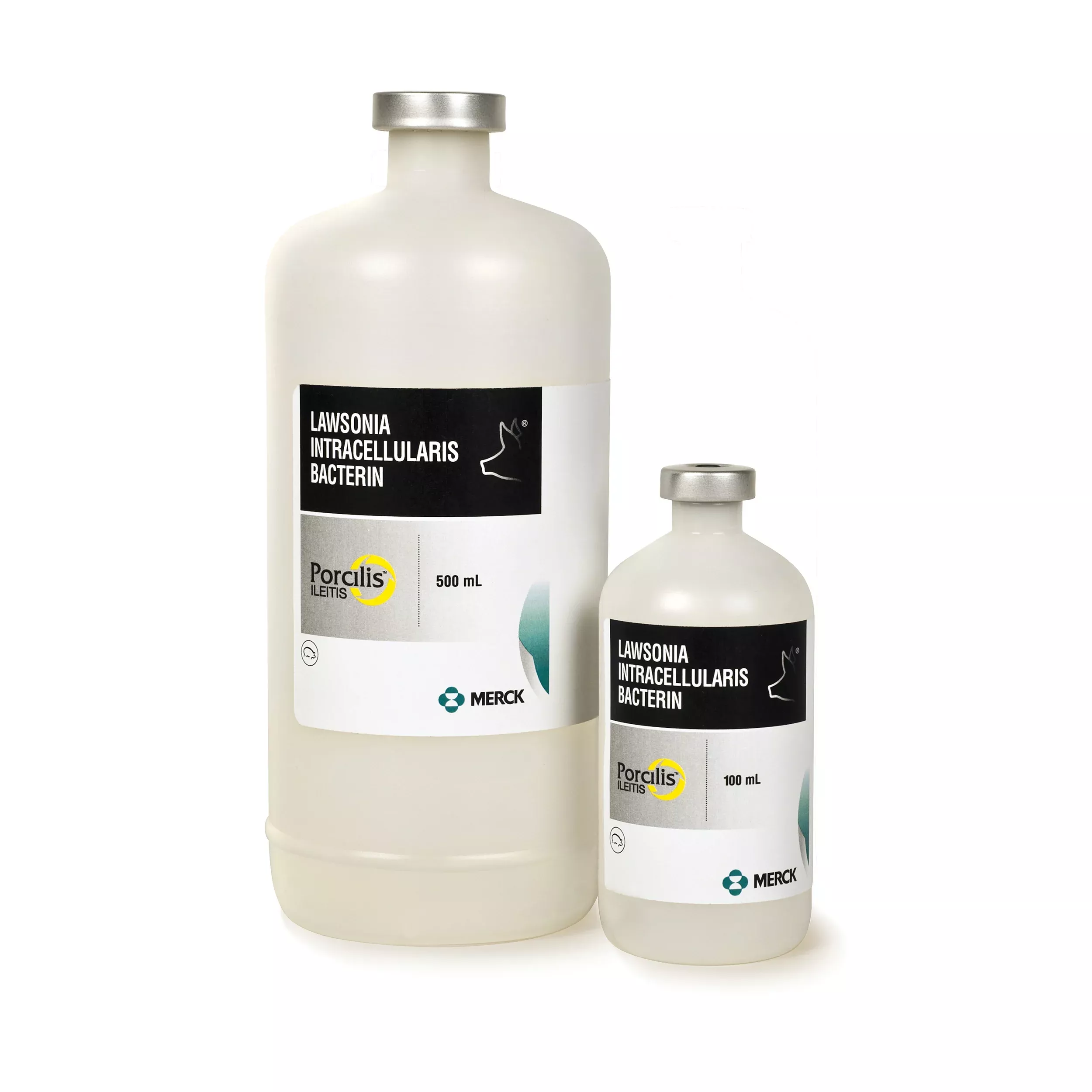 Porcilis Ileitis, 250 Dose