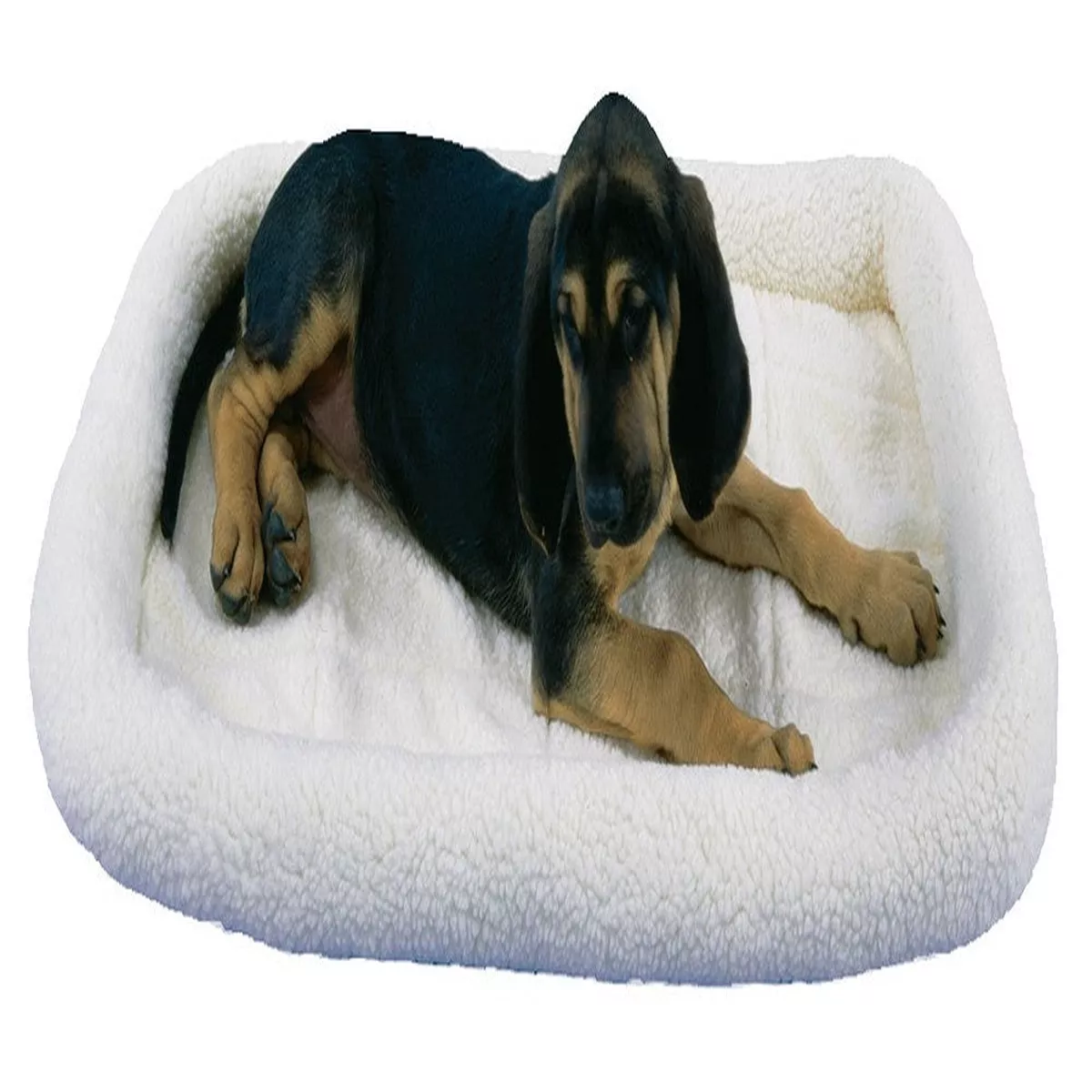 Precision Pet Products Bumper Bed 18x12"