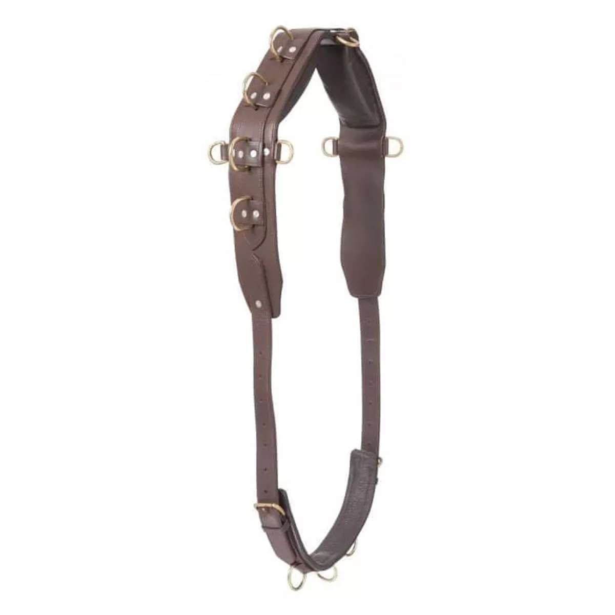 Professional Heavy Leather Surcingle