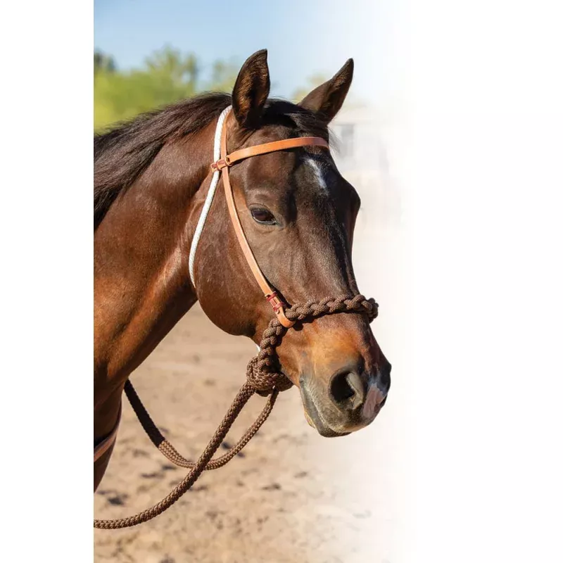 Professional's Choice Loping Hackamore Brown