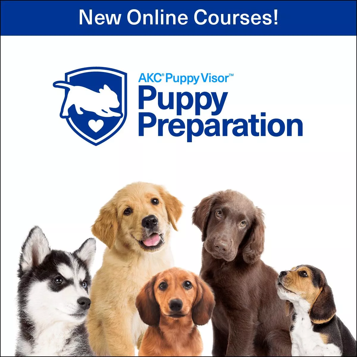 Puppy Preparation SeriesOnline Courses