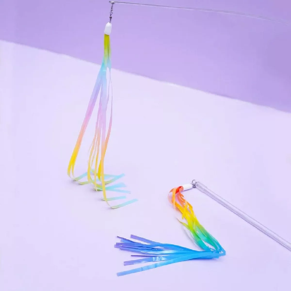 Rainbow Jellyfish Cat Teaser