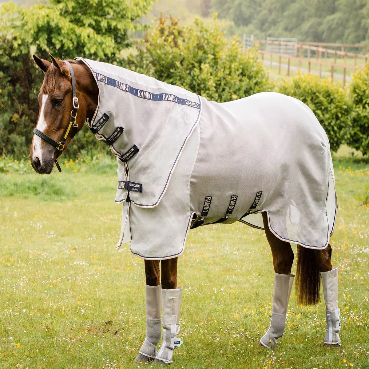 Rambo Protector Horse Fly Sheet