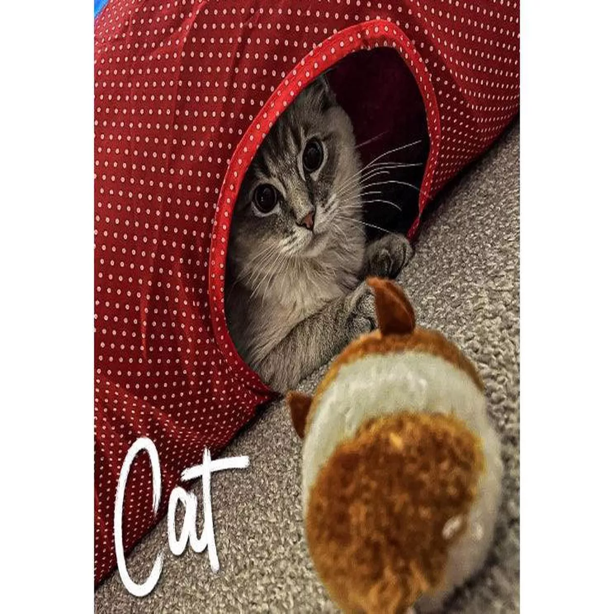 RED POLKA CAT TUNNEL