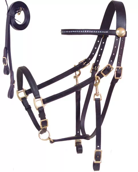 Rhinestone Halter Bridle Combo with Reins