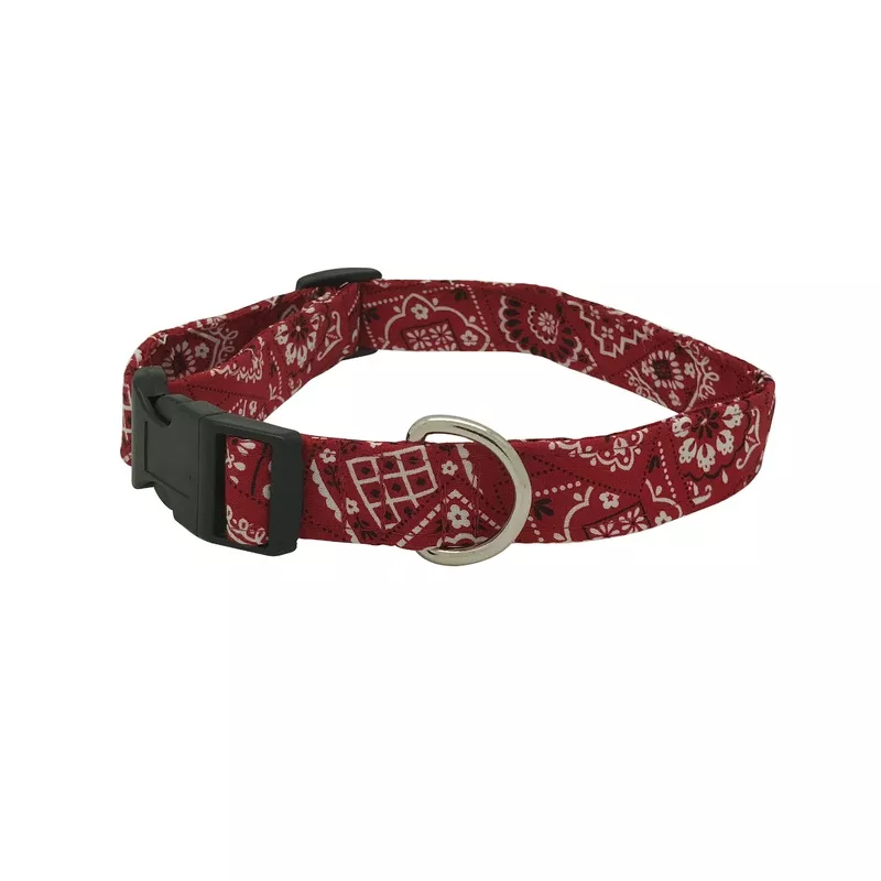 Rodeo Dog Collar