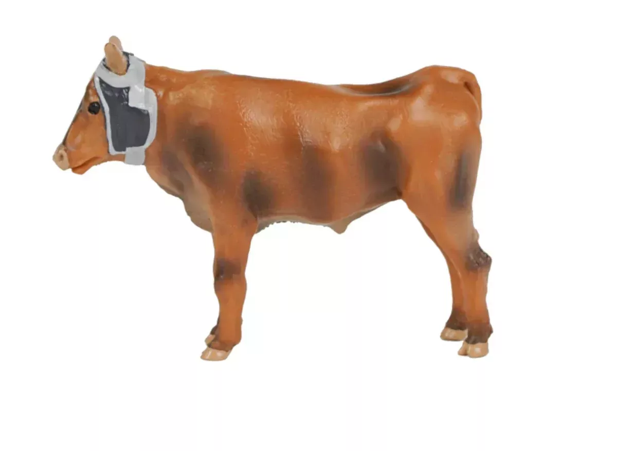 Roping steer ECOM