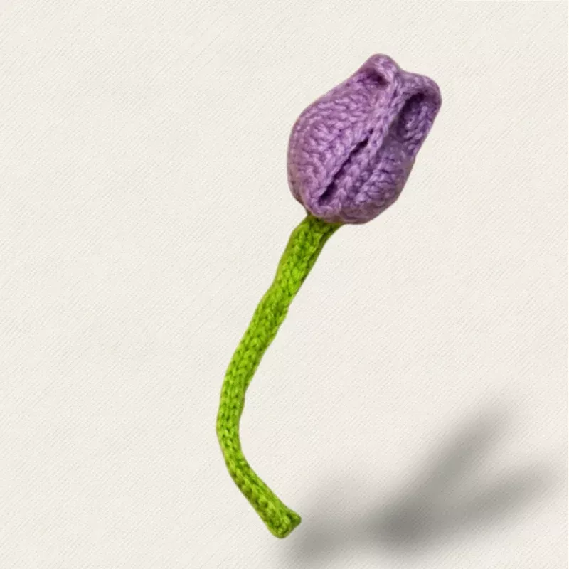 Roselle the French Tulip