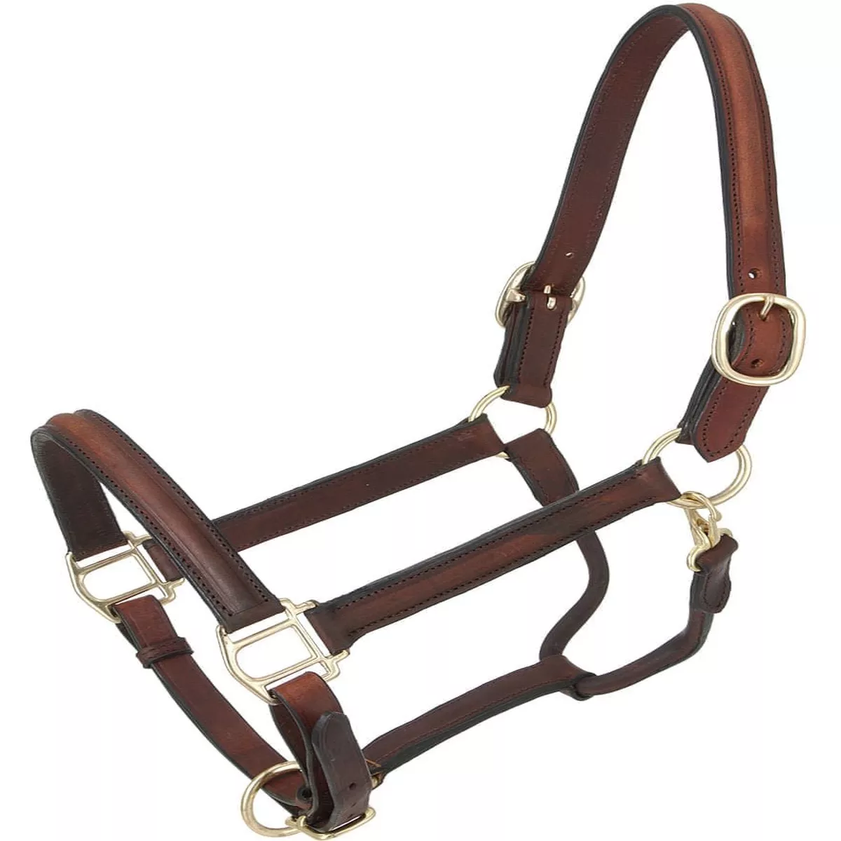 Royal King Raised Leather Halter