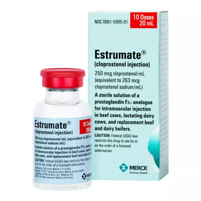 Rx Estrumate (cloprostenol injection) for Cattle