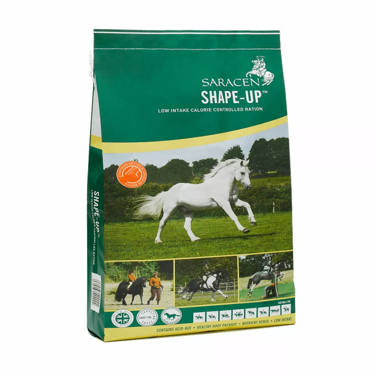 Saracen Shape-Up 20kg