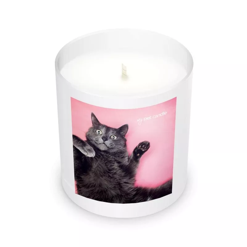 Selfie Cat Soy Wax Candle