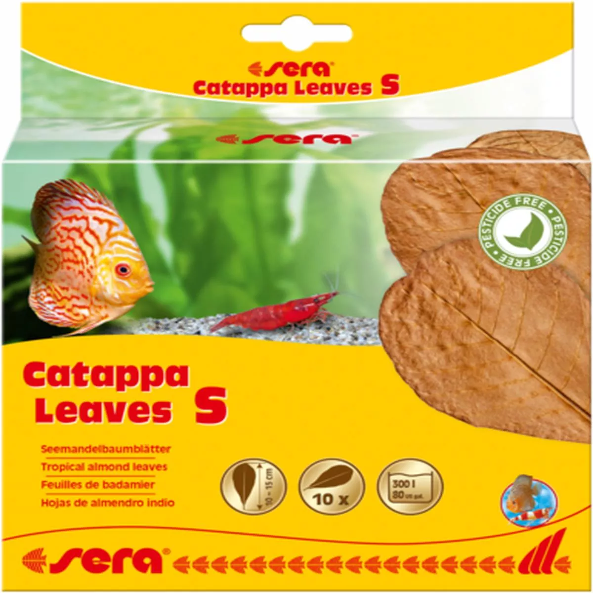 Sera Catappa (Almond) Leaves (10-Pack)