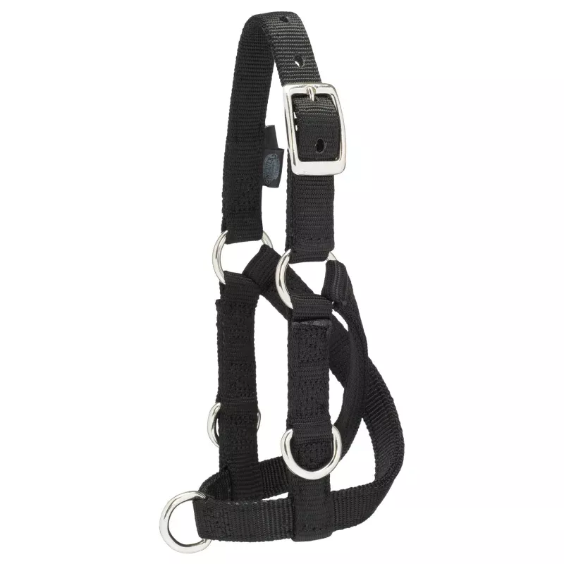 Sheep/Goat Treadmill Halter Black
