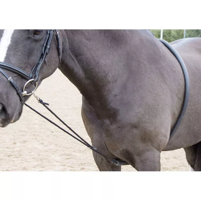 Shires Soft Lunge Aid Black