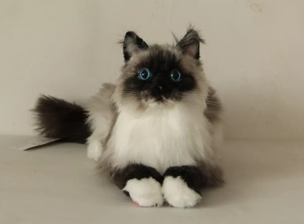 Siamese Cat Longhair MADE-TO-ORDER