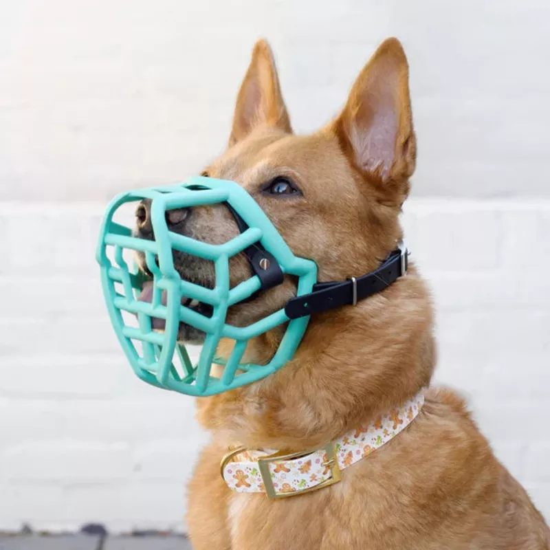 Size Rex, Muzzle Movement Teal