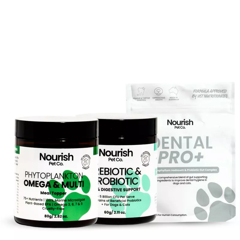 Skin, Gut + Dental Bundle