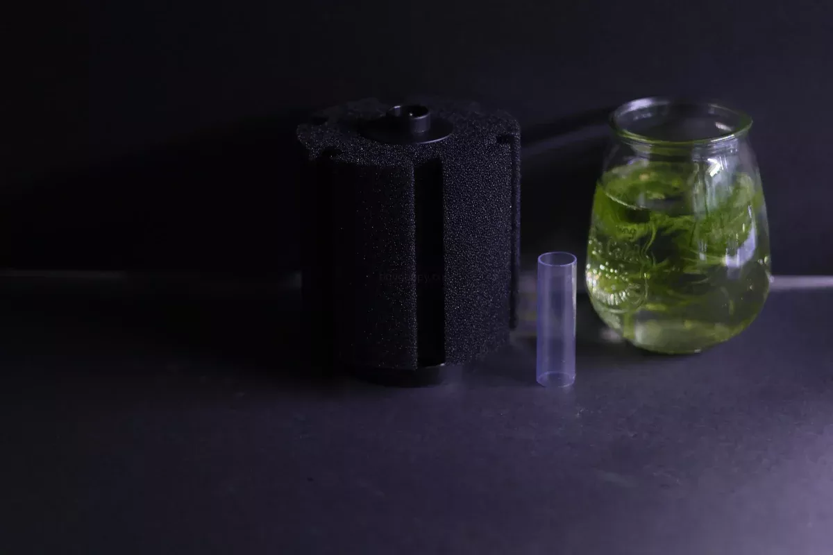 Sponge Filter (Up to 60 gallons)