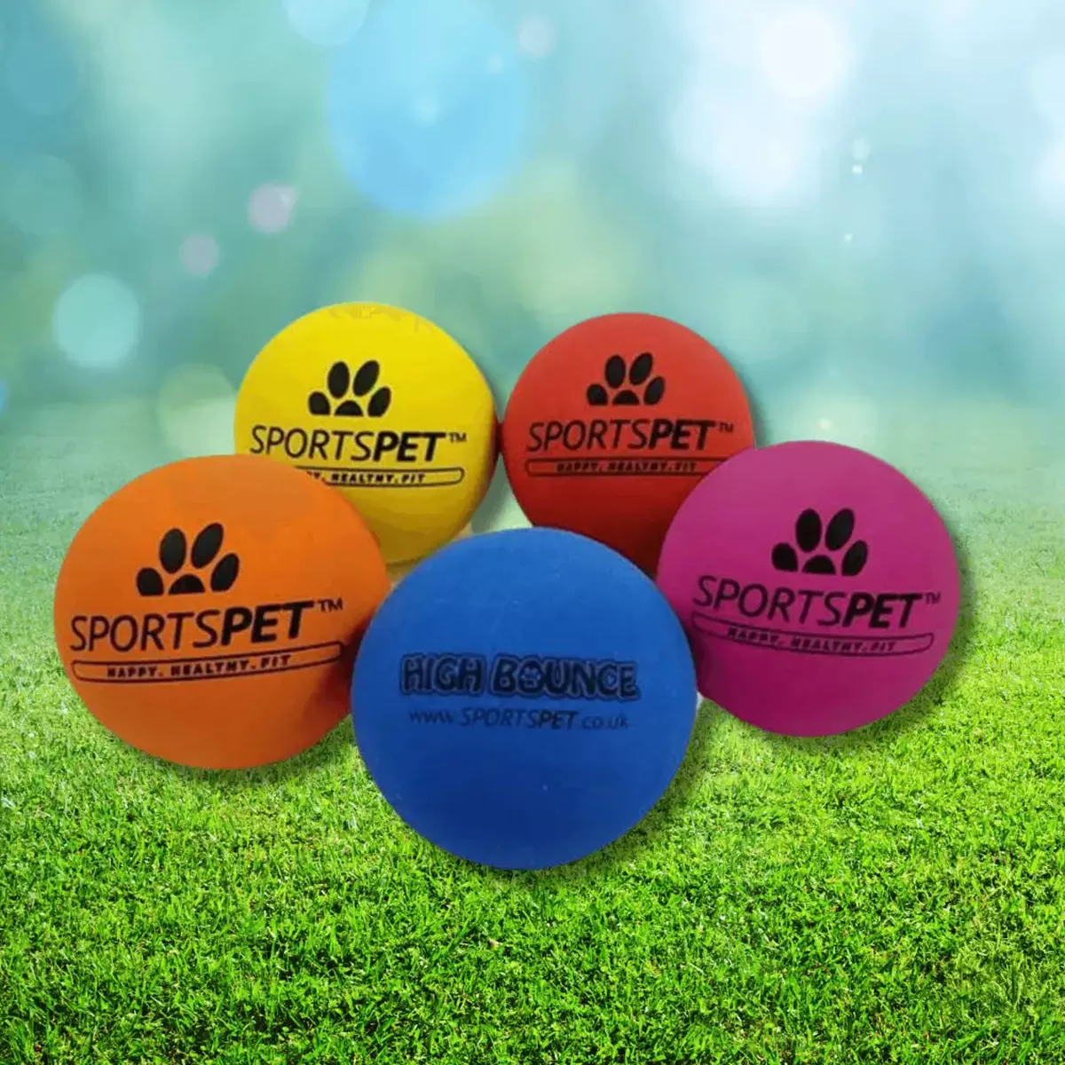 Sportspet Tough Bounce