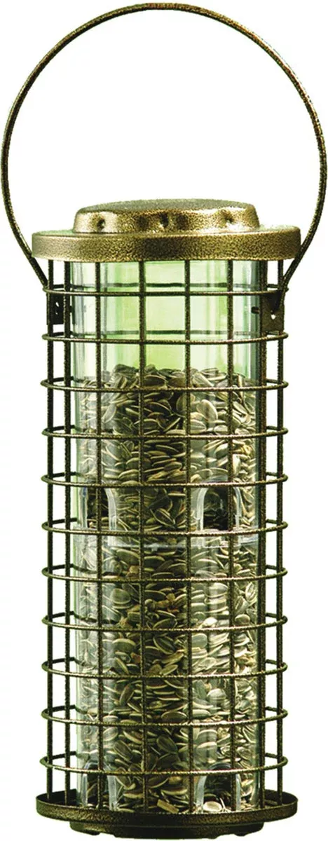 Squirrel Stumper Bird Feeder