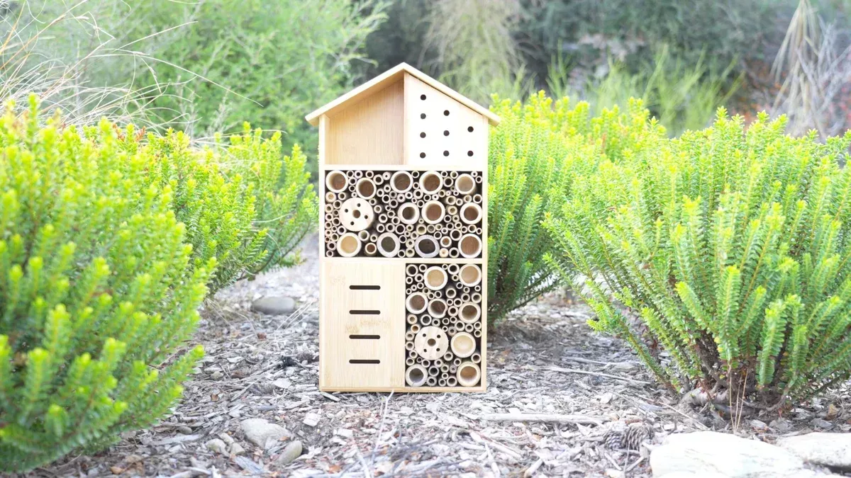 Topflite Bee, Bug & Butterfly House