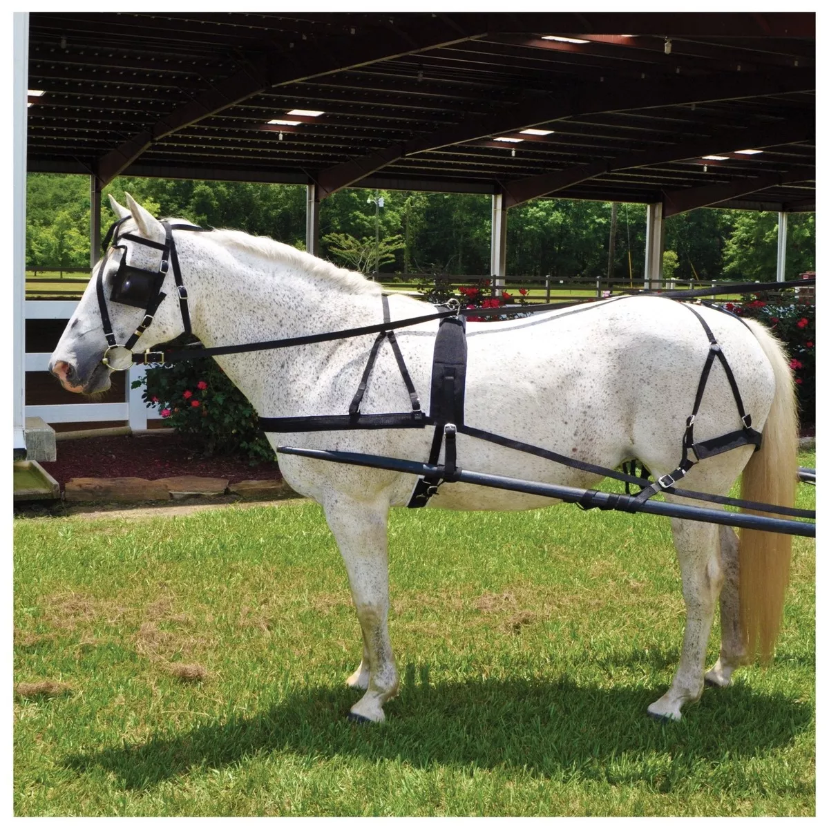 Tough1 Nylon Driving Harness