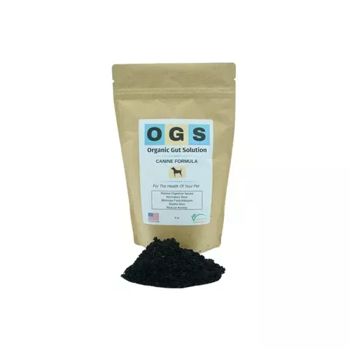 VertiCarb | Organic Gut Solution Canine – 6 oz