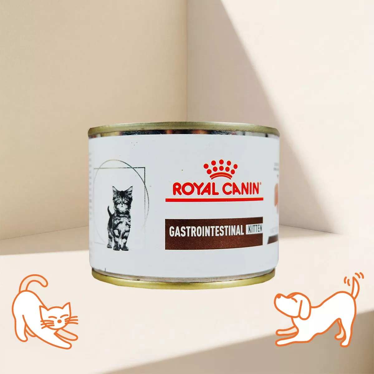VHN G-I Kitten Cat Can
