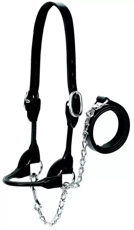 Weaver Leather Cattle Rounded Show Halter XL Blk