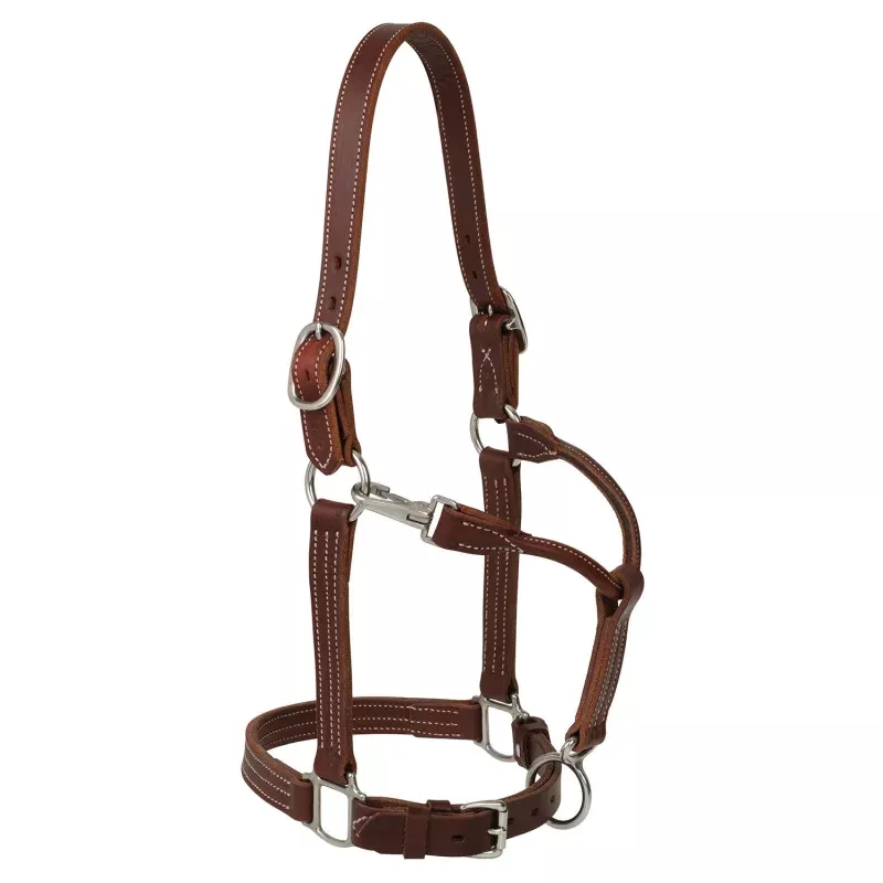 Weaver Ranch Leather Horse Halter Brown