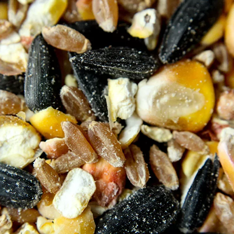 WILD BIRD SEED WITH CORN 18 KG