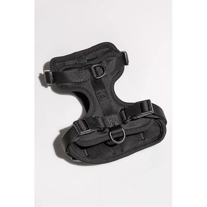 Wild One Black Dog Harness|Extra Small|Small|Medium|Large