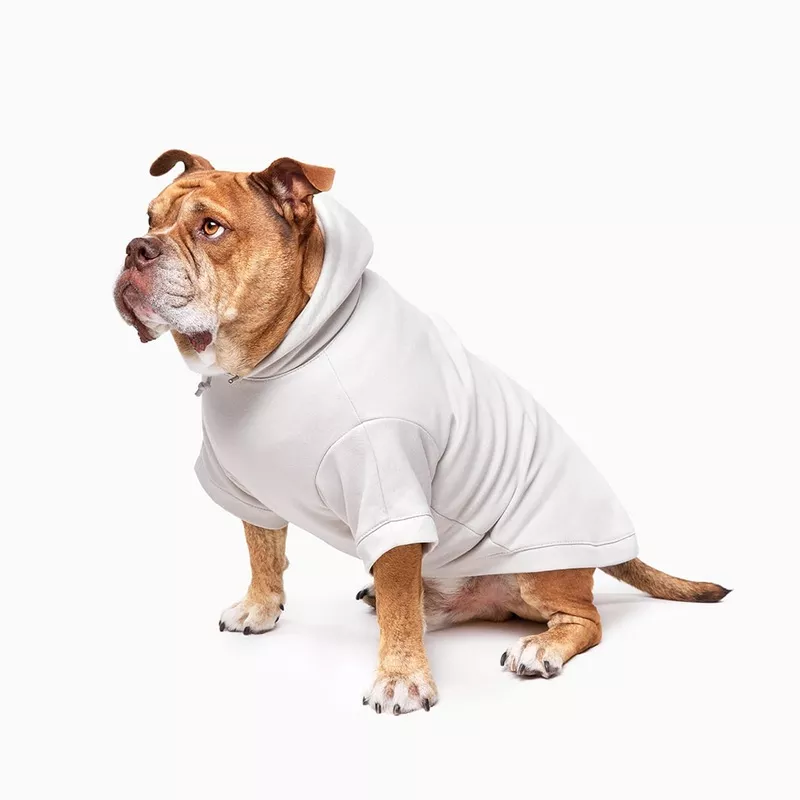 Winter Dog Hoodies – Grey