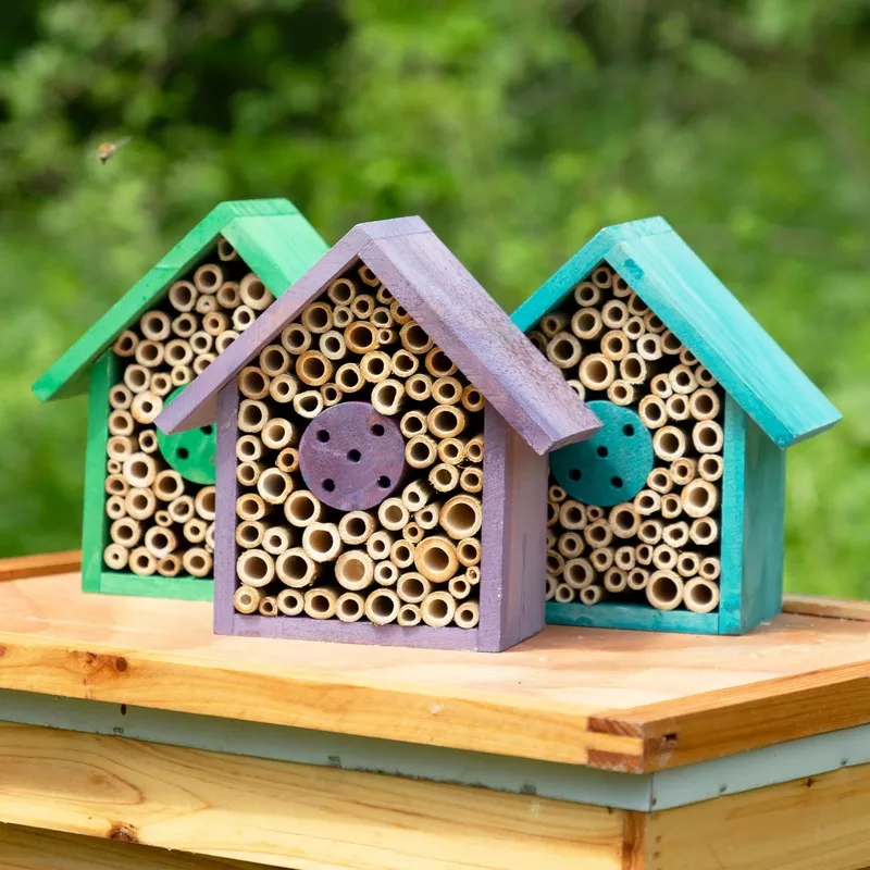Wooden Mason Bee House Green