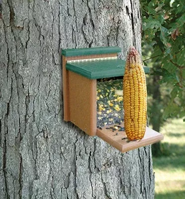 WoodLink Going Green Squirrel Munch Box