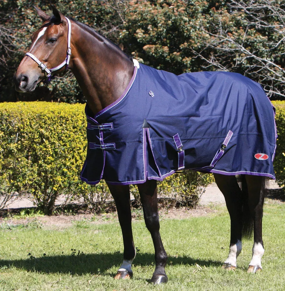 Zilco Explorer 200 Rug