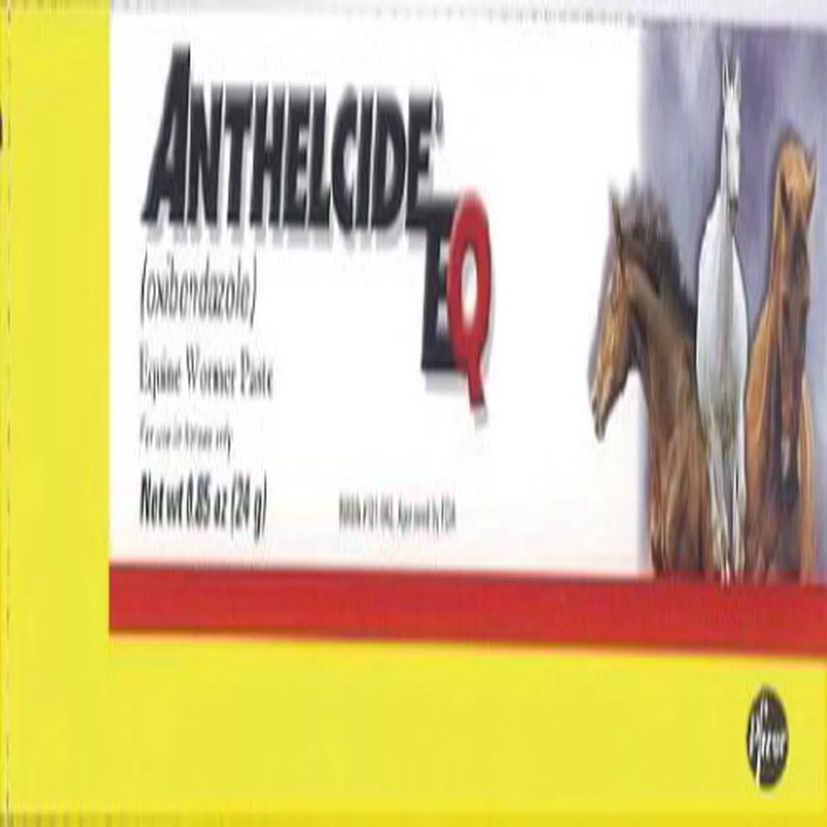 ZOETIS ANTHELCIDEEQ PASTE