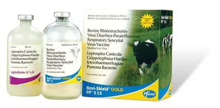 Zoetis, Bovi-Shield, Gold FP 5+L5, 5 Doses